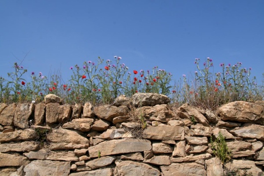 mur de pierres sèches