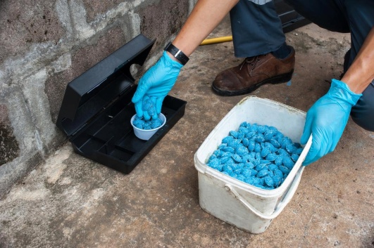 raticide bleu
