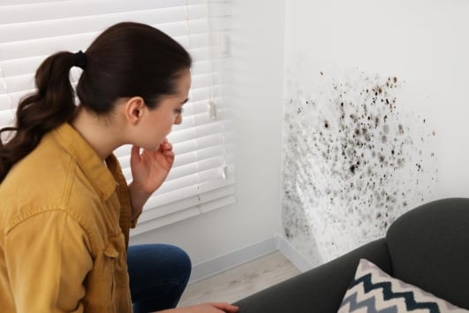 Femme qui regarde de la moisissure au mur