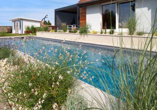 Gaura près d'une piscine