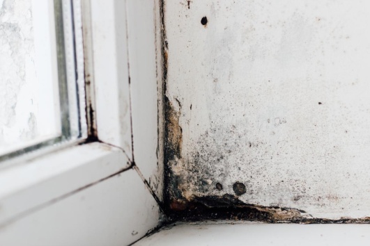 comment se debarasser de humidite angle fenetre