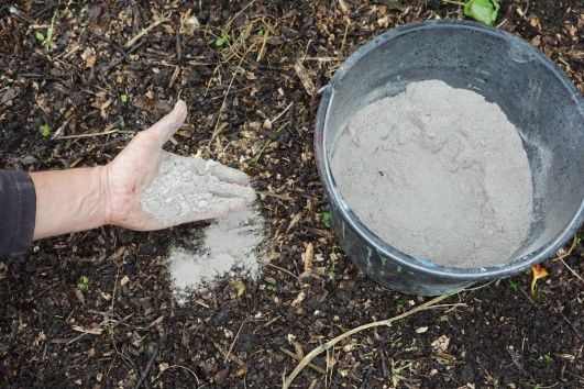 Mettez les cendres de votre barbecue dans la terre de votre jardin