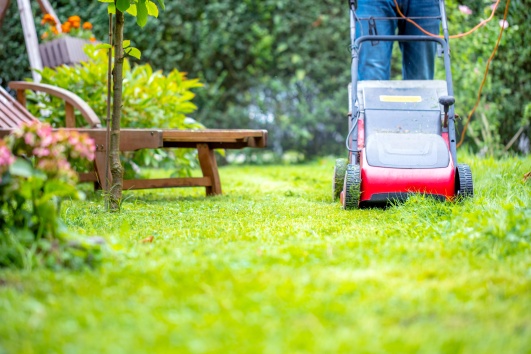 pour éviter les squatteurs veillez à soigner les extérieurs de votre jardin