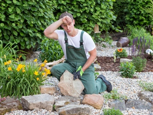 Les secrets pour prendre soin de votre jardin pendant la canicule que les jardiniers gardent secrets
