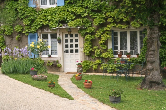 comment rafraichir les murs de votre maison ? Peut etre en optant pour un mur vegetalise