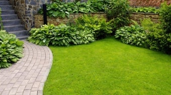 Matériau pour son allée de jardin