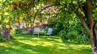 Aménagement du jardin - prix