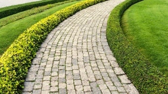 Prix d'une allée en pavés