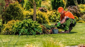 Prix pour l'entretien d'un jardin