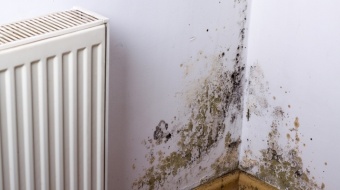 Photo d'un mur avec traces humidités
