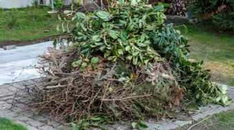 Comment se débarrasser de ses déchets de jardin 
