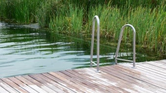 Six bonnes raisons de choisir une piscine naturelle