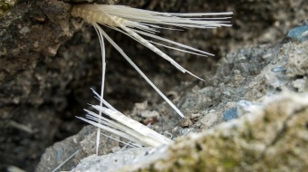Béton fibré : le guide complet