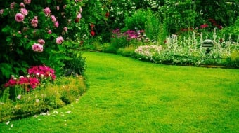 fertilisation-pelouse-ootravaux