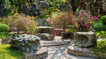 Comment créer un jardin paysager qui vous ressemble ?