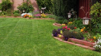 Comment créer un parterre de fleurs sans entretien : les astuces