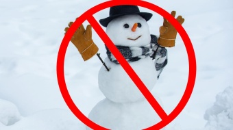 bonhomme-neige-gazon