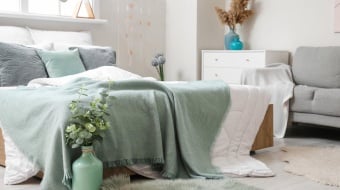 Chambre-vert-sauge