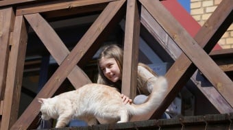 Enfant et chat sur un balcon non sécurisé. 