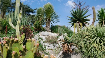 UNE_jardin-exotique