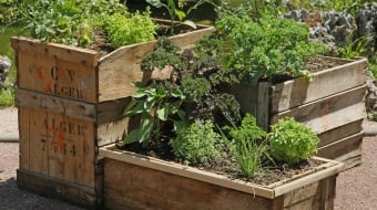 carré potager