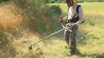 debroussailler son terrain 