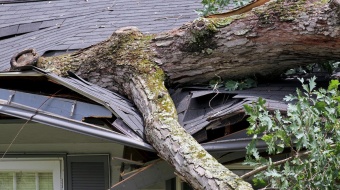 Arbre tombé sur une maison car l'abattage n'a pas été effectué par un professionnel