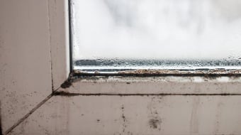 moisissure sur les bords d'une fenetre en pvc blanc