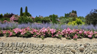 Enrochement et terrain fleuri