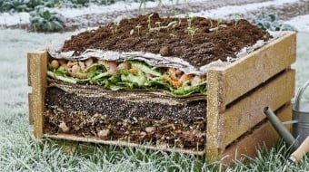 Jardinage en lasagne