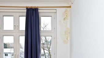 moisissure chambre