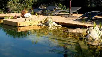 piscine naturelle avec plage bois