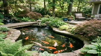 bassin de jardin avec des kois dedans installer par un paysagiste professionnel