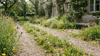allee gravier les differentes solutions pour se debaresser des mauvaises herbes 