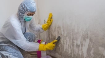 femme nettoyant un mur humide