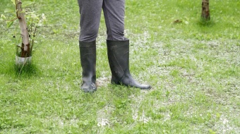 Personne avec bottes en caoutchouc dans un jardin détrempé