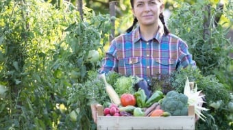 premier potager