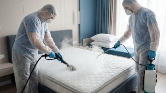 vous avez des acariens dans votre lit ? Faites appel à un professionnel