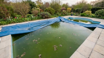 piscine verte apres hivernage