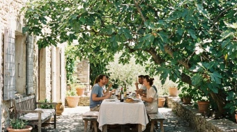 une table de convives à l'ombre d'un figuier 
