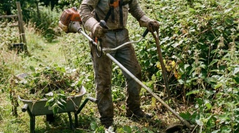 comment se debarasser des orties et des ronces qui envahissent votre jardin 
