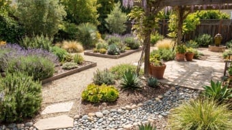 jardin sans gazon une nouvelle mode 